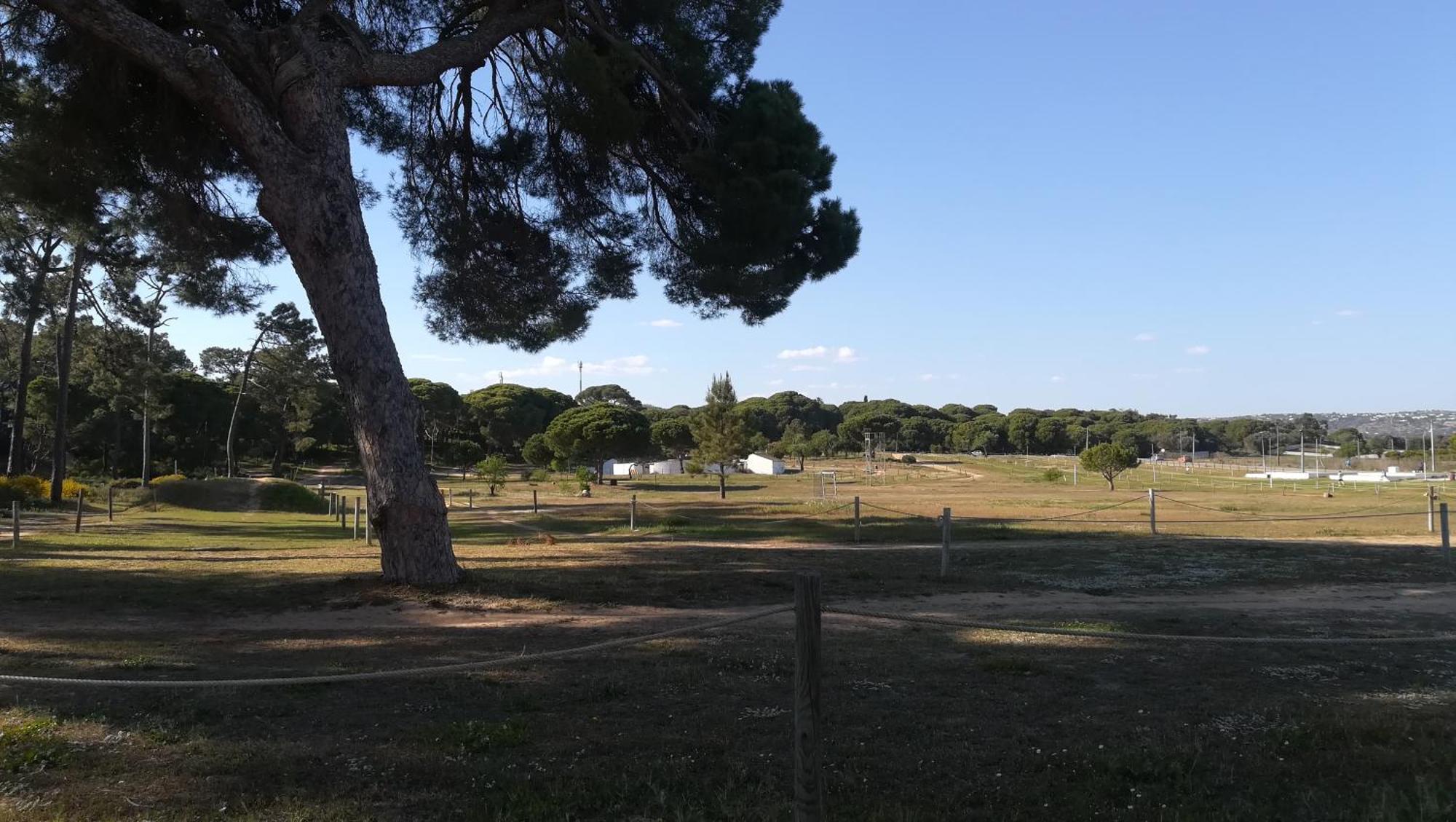 Beach Falésia Alfamar Albufeira Kültér fotó